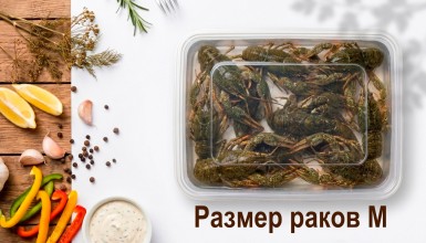 Живые раки (10-12 шт./500 гр.)