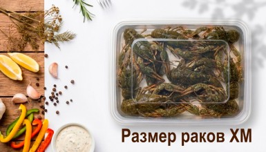 Живые раки (15-17 шт./500 гр.)